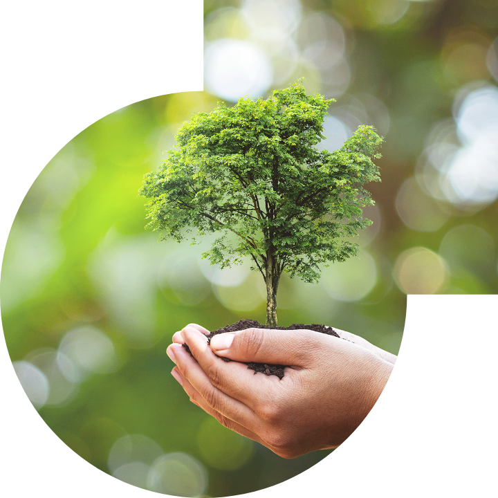 關懷人類、文化、環境與社會